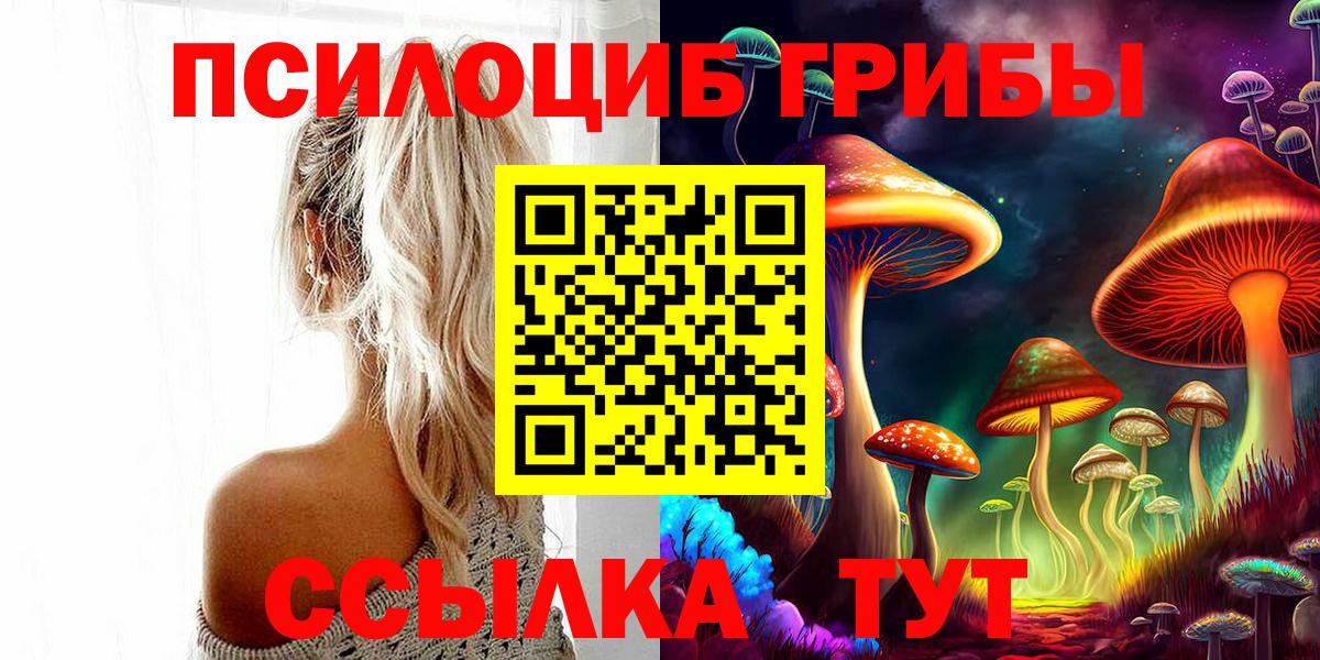 Чебаркуль  Галлюциногенные грибы Cubensis  Вход с VPN 